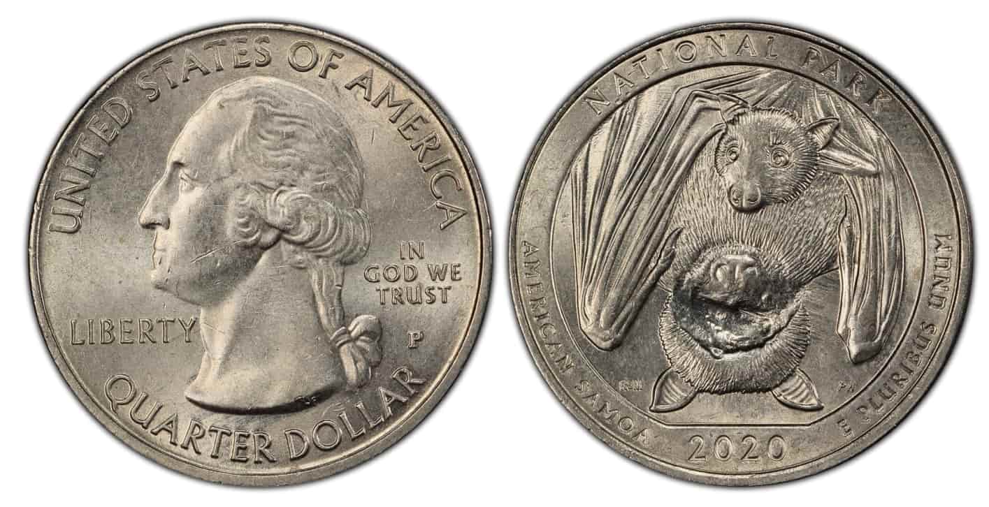 2020-P American Samoa quarter Faceless Bat error showing the mother fruit bat with missing or obscured facial features on the reverse