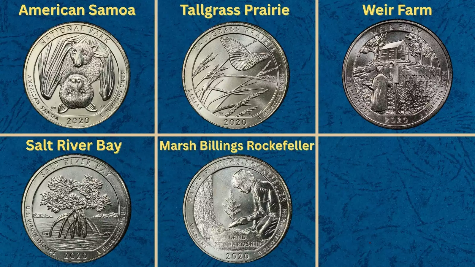 Grading strip showing four 2020 quarters in four condition tiers from worn (far left) to gem uncirculated MS-67 (far right)